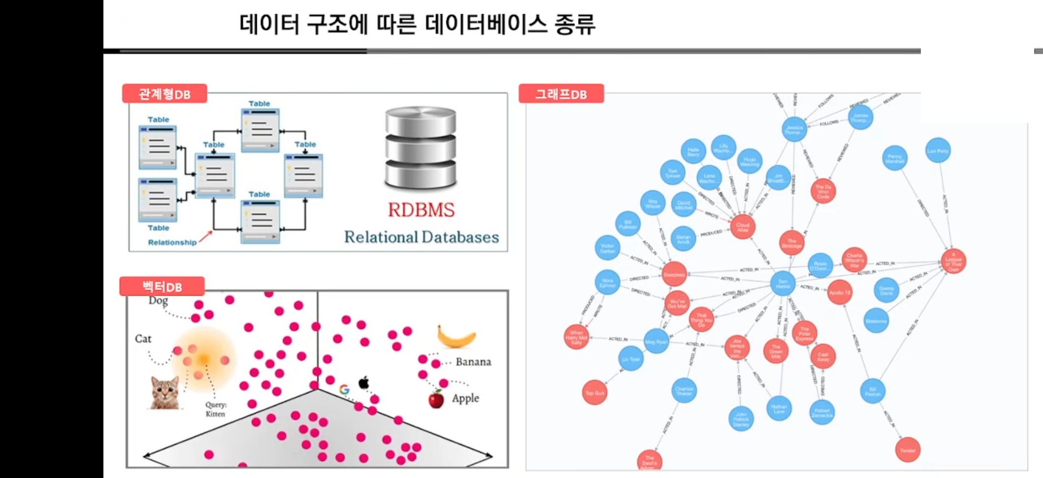 데이터 구조에 따른 데이터베이스 종류: 관계형 DB, 벡터 DB, 그래프 DB 비교